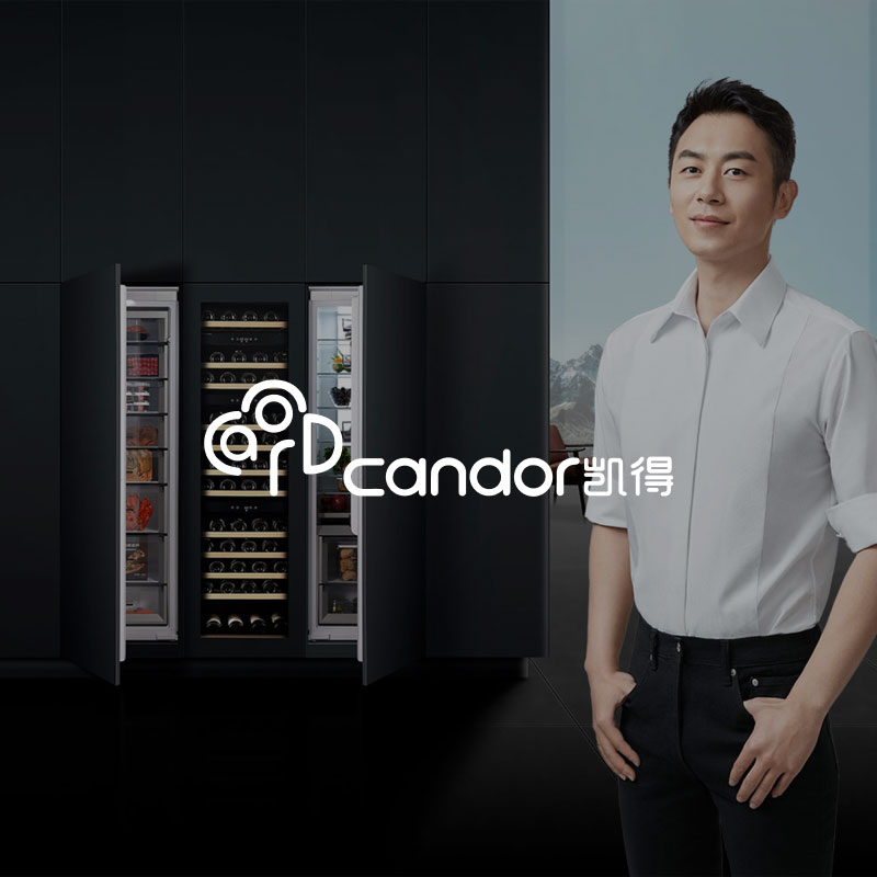 凯得智能(néng)家電(diàn)體(tǐ)验重塑