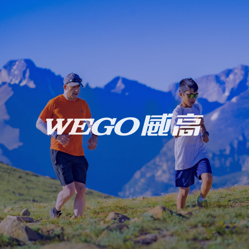 威高医(yī)疗集团